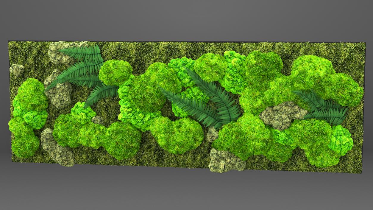 3D Natural Moss Wall with Preserved Plants Fur model