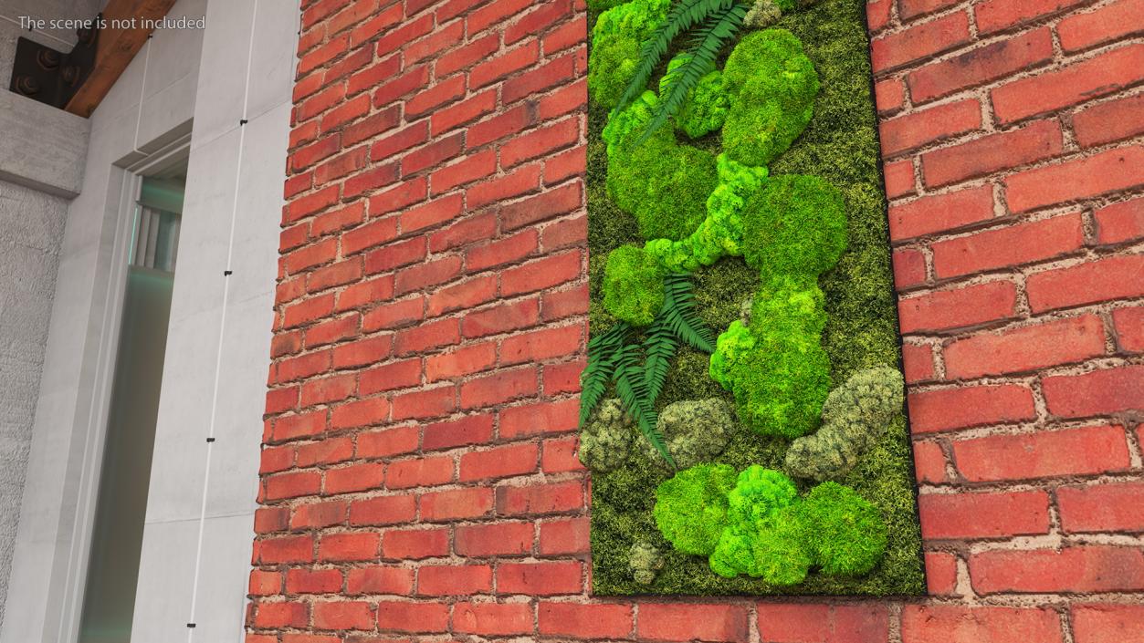 3D Natural Moss Wall with Preserved Plants Fur model