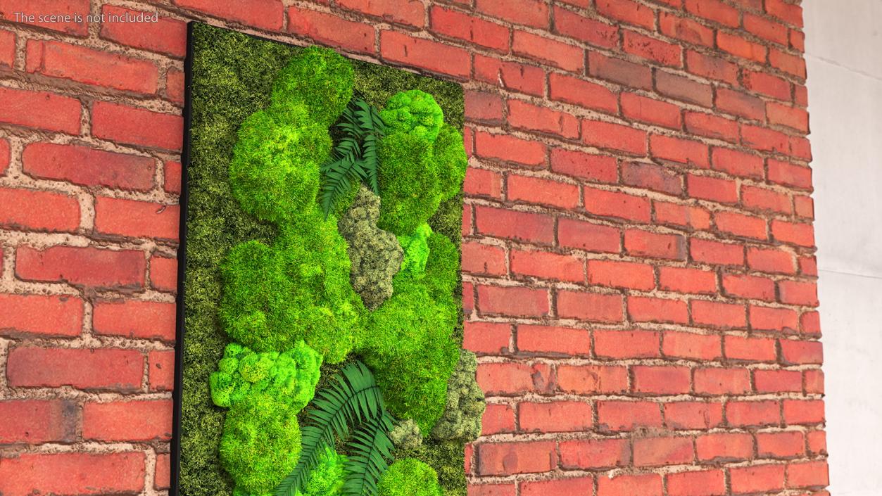 3D Natural Moss Wall with Preserved Plants Fur model