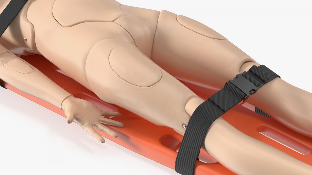 3D Spinal Board Stretcher with Manikin(1) model