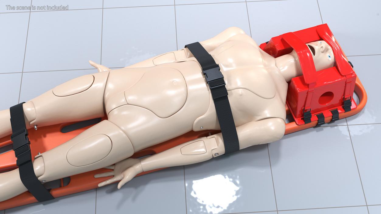 3D Spinal Board Stretcher with Manikin(1) model