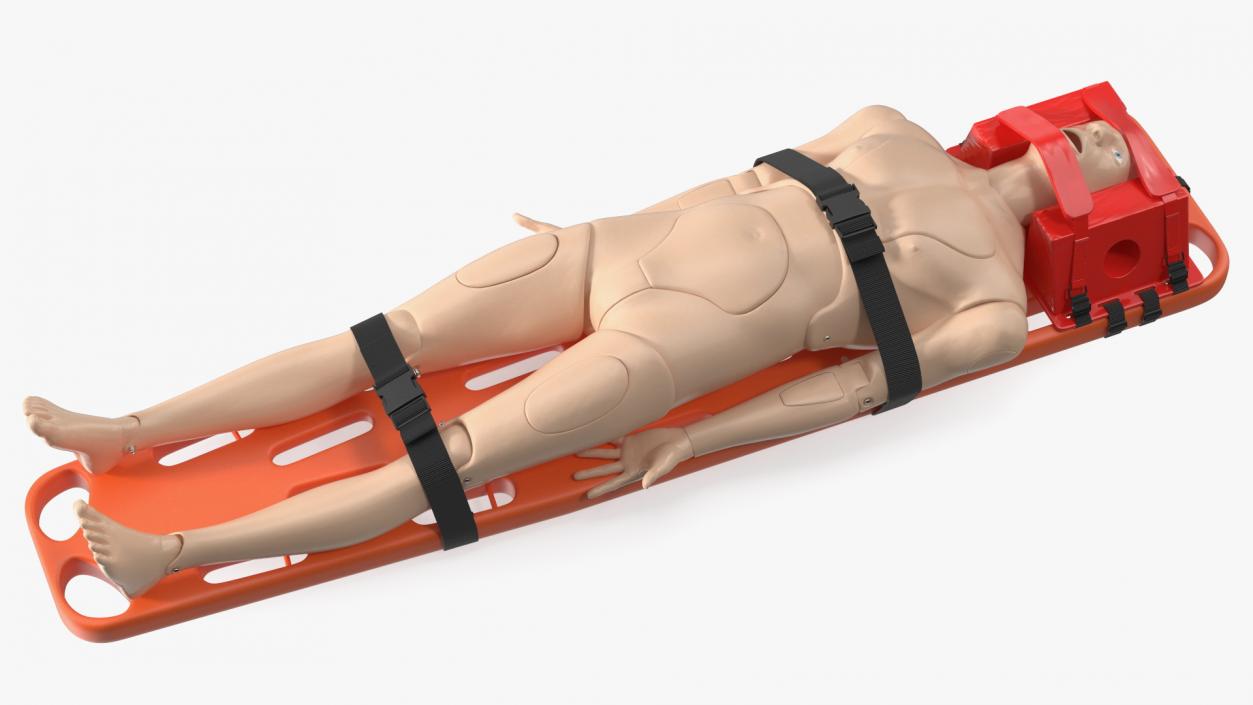 3D Spinal Board Stretcher with Manikin(1) model