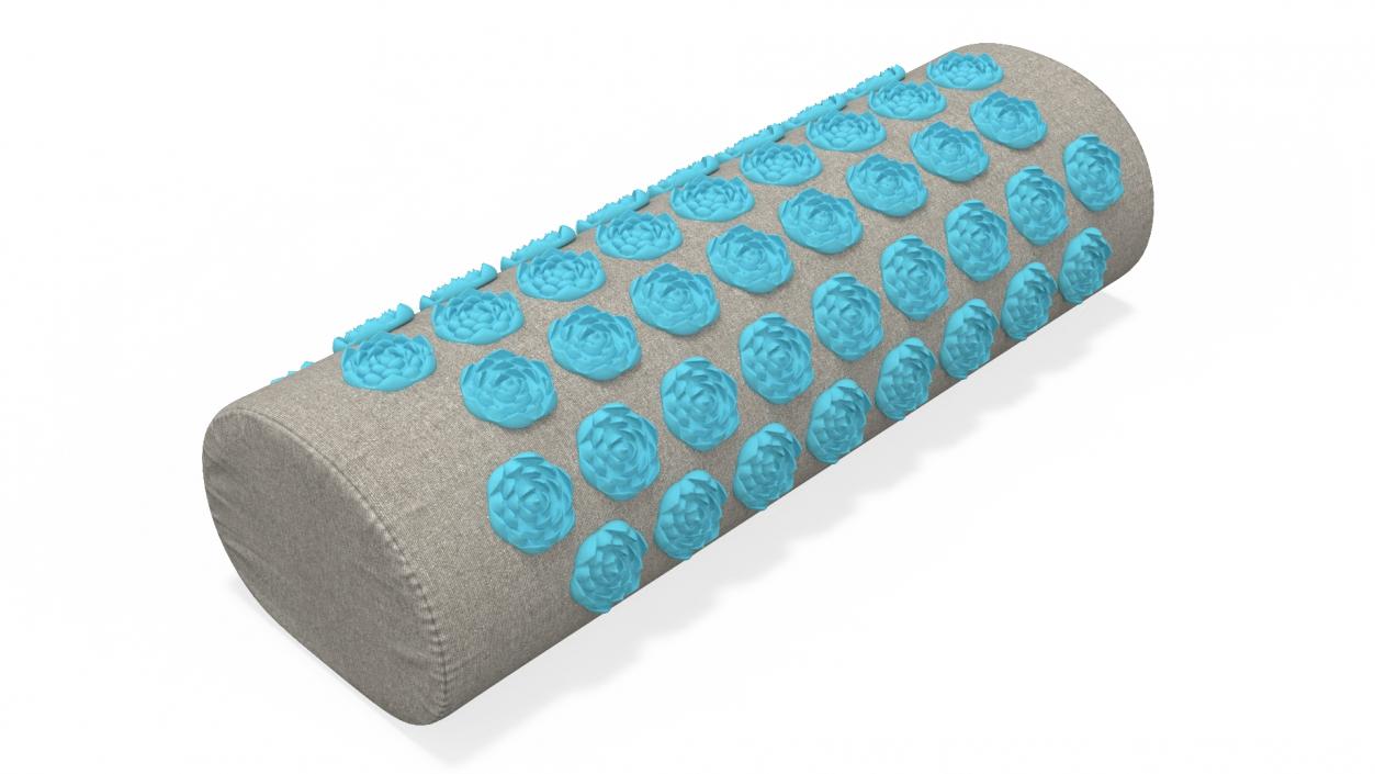 Acupuncture Cylindrical Pillow Blue 2 3D