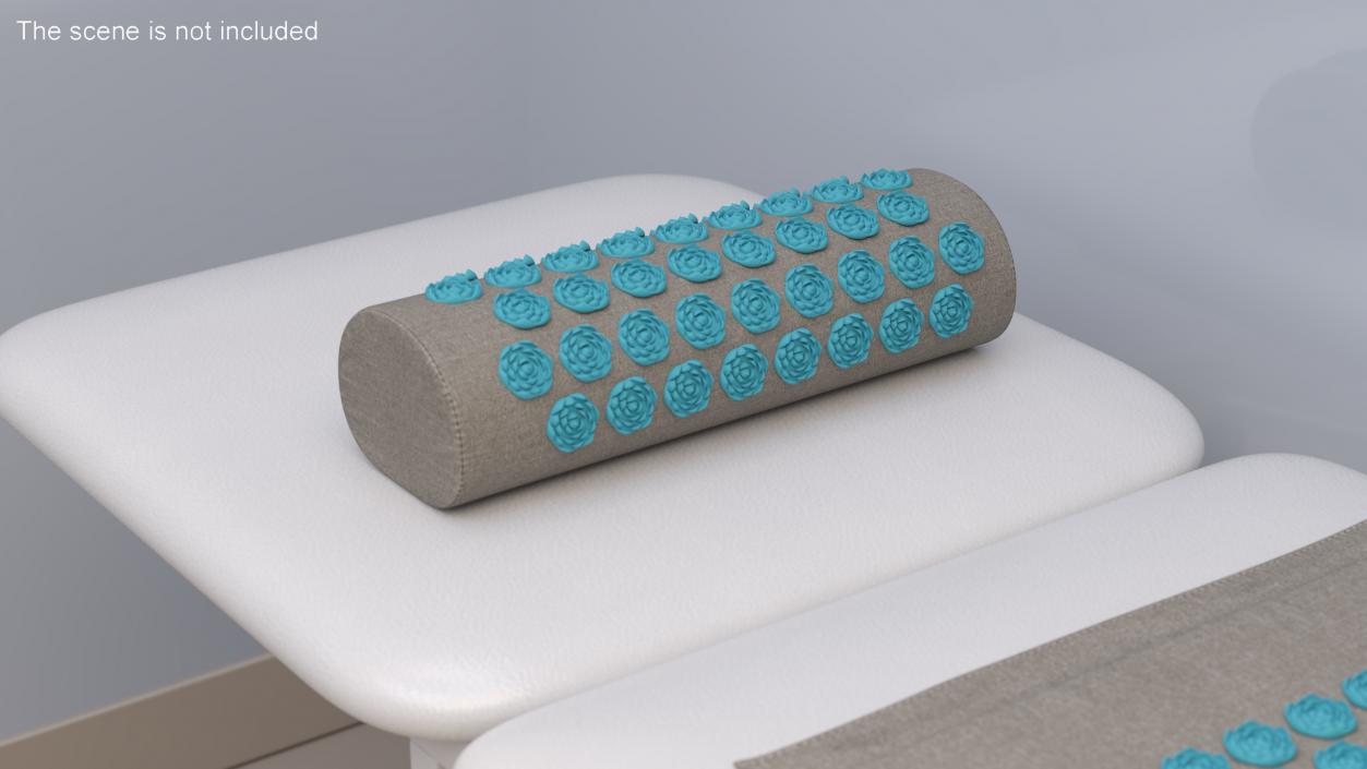 Acupuncture Cylindrical Pillow Blue 2 3D