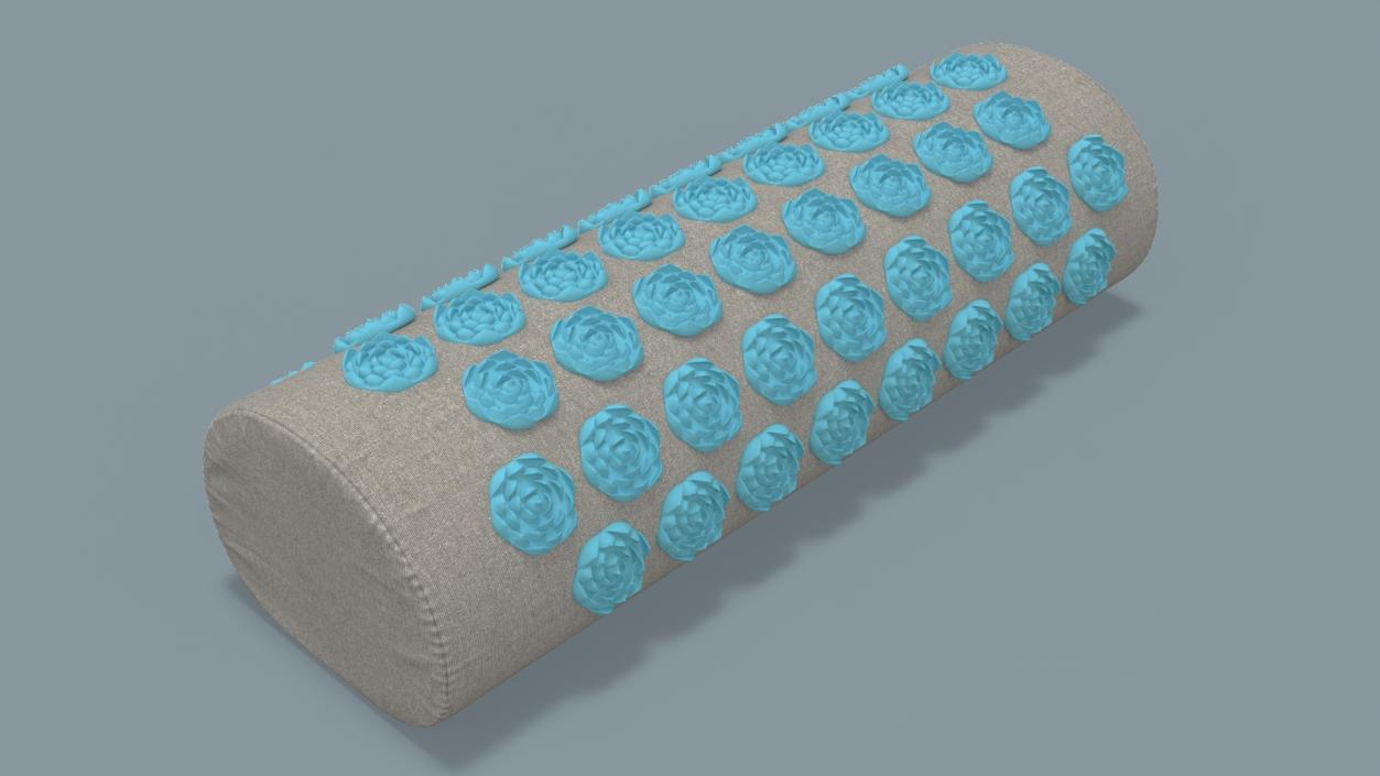 Acupuncture Cylindrical Pillow Blue 2 3D