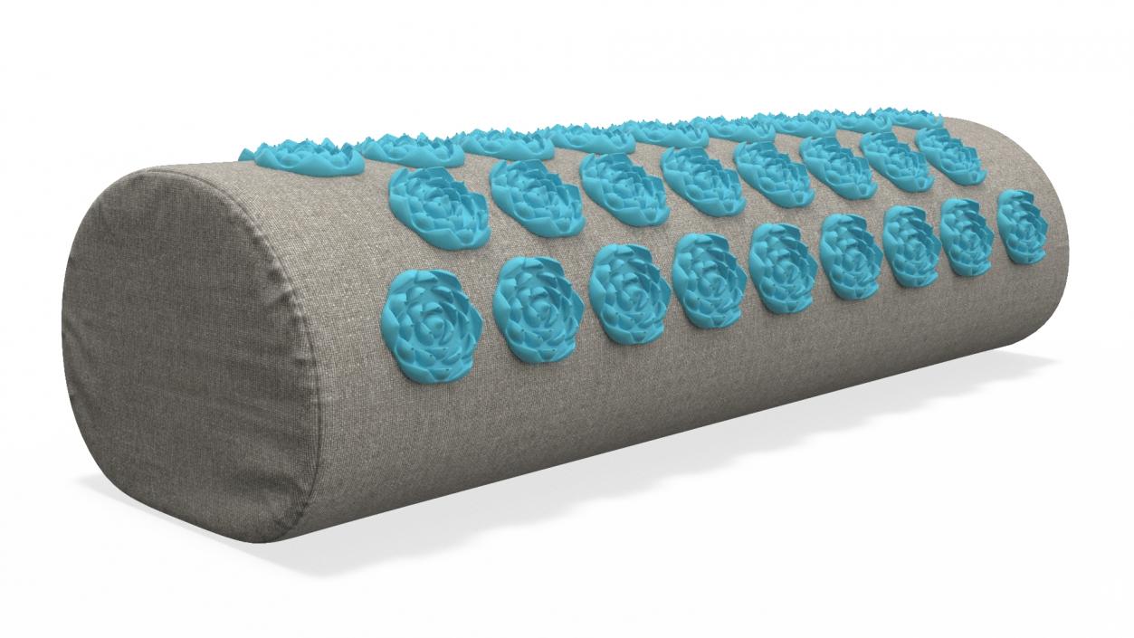 Acupuncture Cylindrical Pillow Blue 2 3D