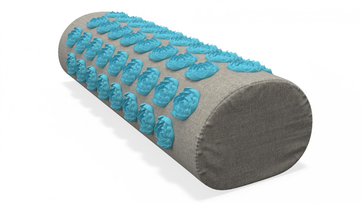 Acupuncture Cylindrical Pillow Blue 2 3D