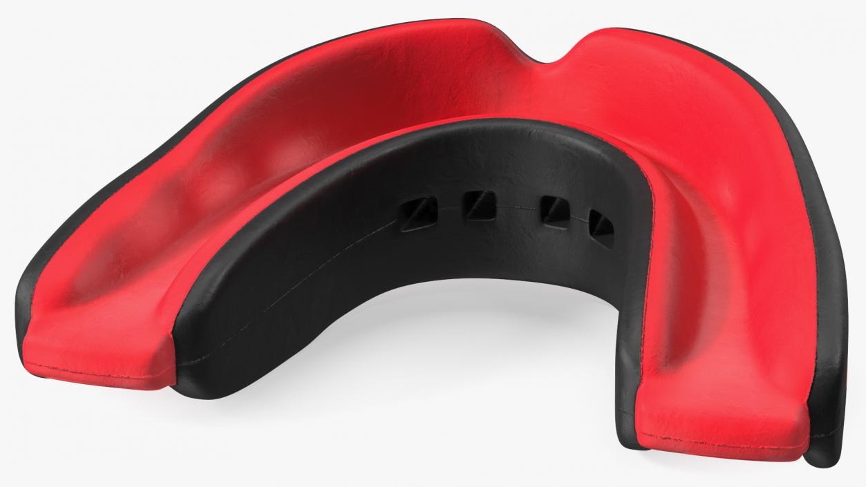 3D model Everlast EverShield Mouthguard