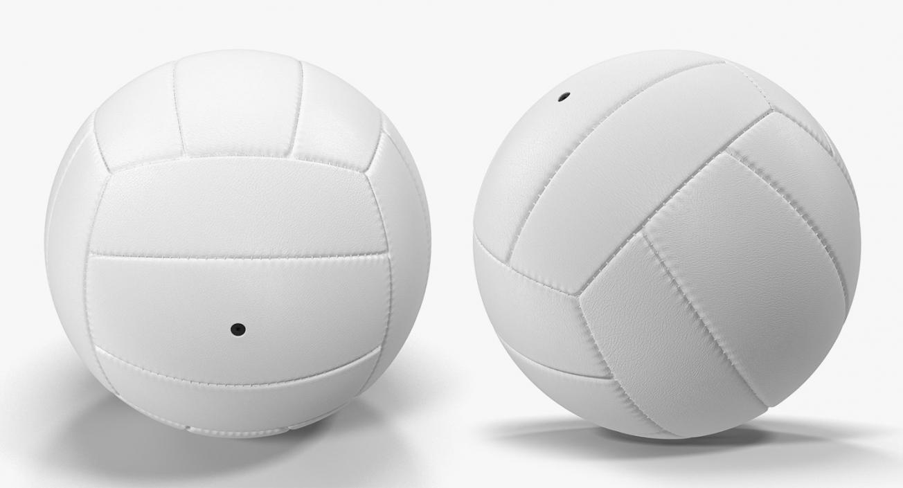 3D Sport Balls Big 3D Models Collection 2 model