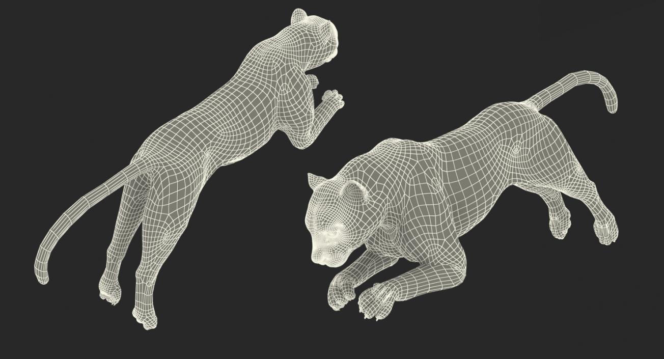 3D Panthera Uncia Jumping Pose with Fur