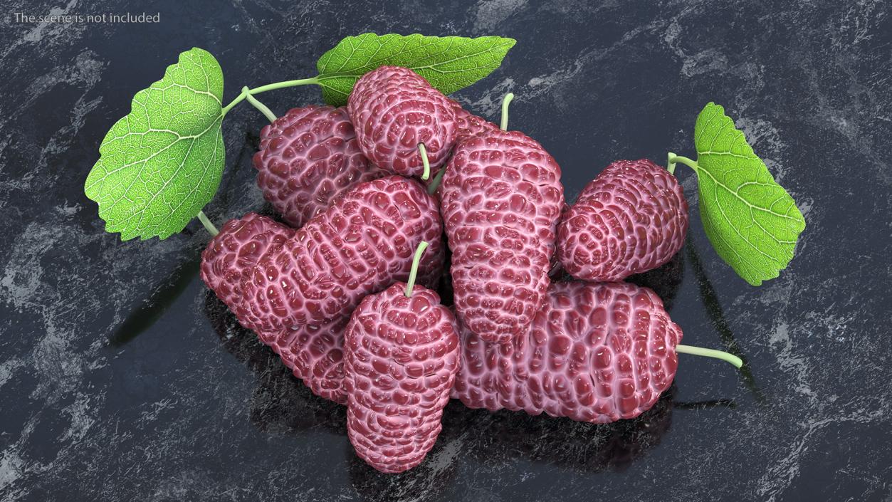 Pile of Mulberry Fruit Pink 3D