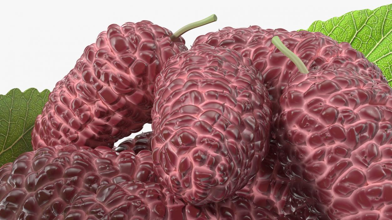 Pile of Mulberry Fruit Pink 3D