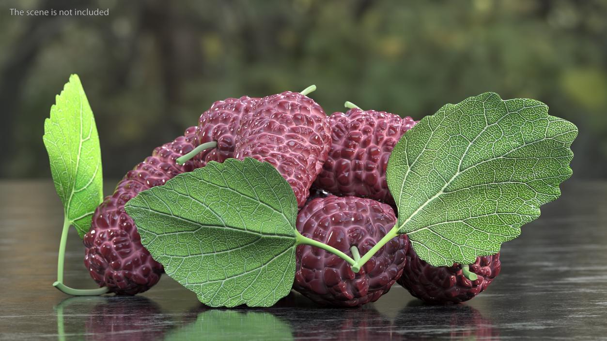 Pile of Mulberry Fruit Pink 3D