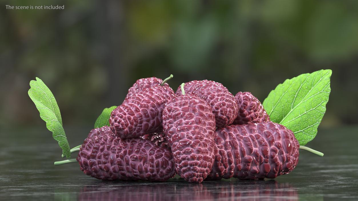 Pile of Mulberry Fruit Pink 3D