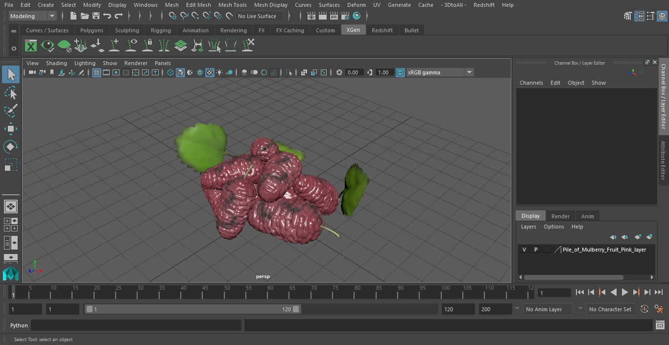 Pile of Mulberry Fruit Pink 3D