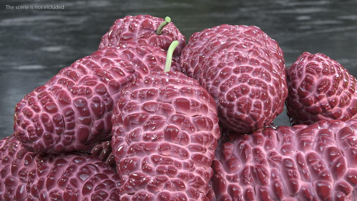 Pile of Mulberry Fruit Pink 3D