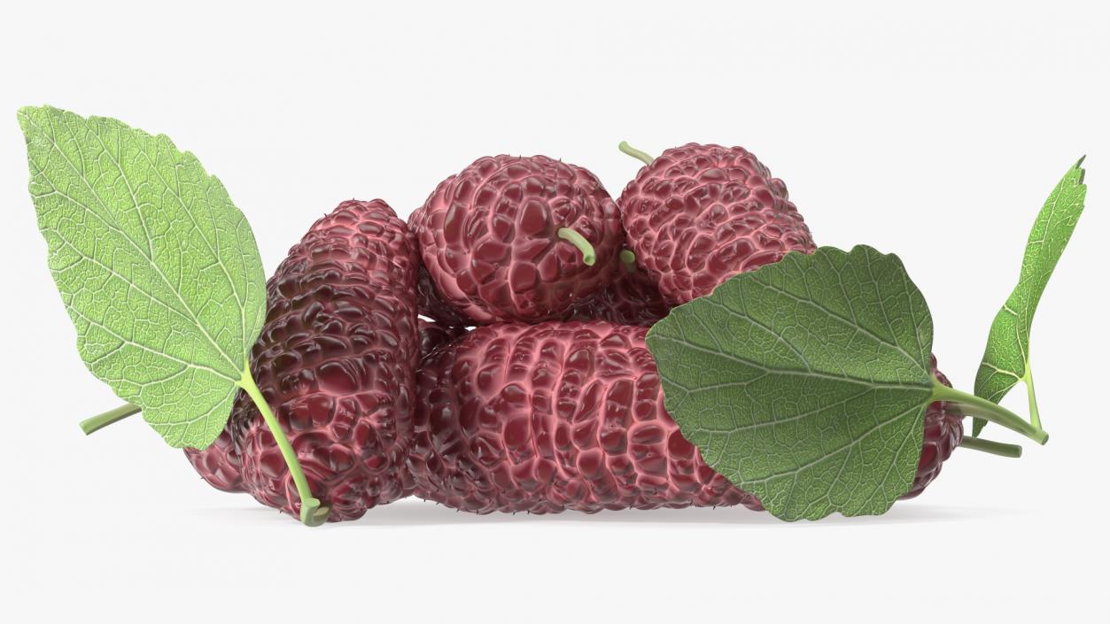 Pile of Mulberry Fruit Pink 3D