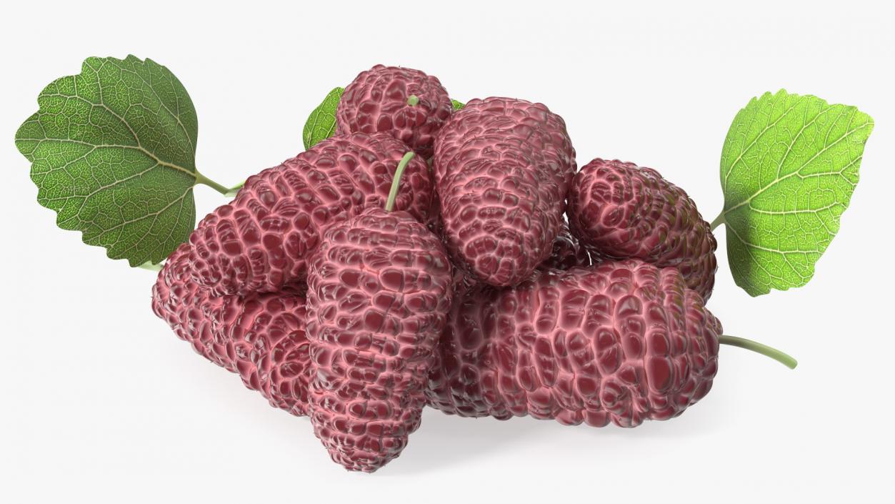 Pile of Mulberry Fruit Pink 3D