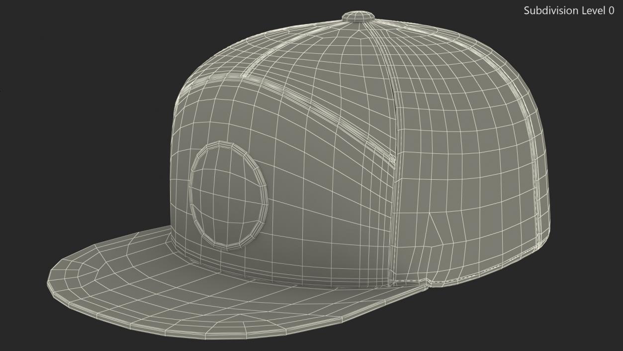 3D Flat Brim Trucker Hat with Mesh Back