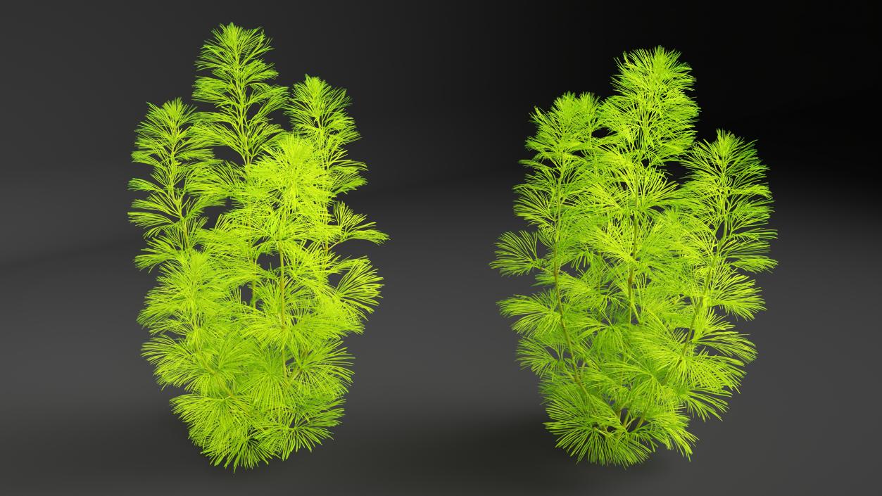 3D Aquarium Plants Collection 3 model