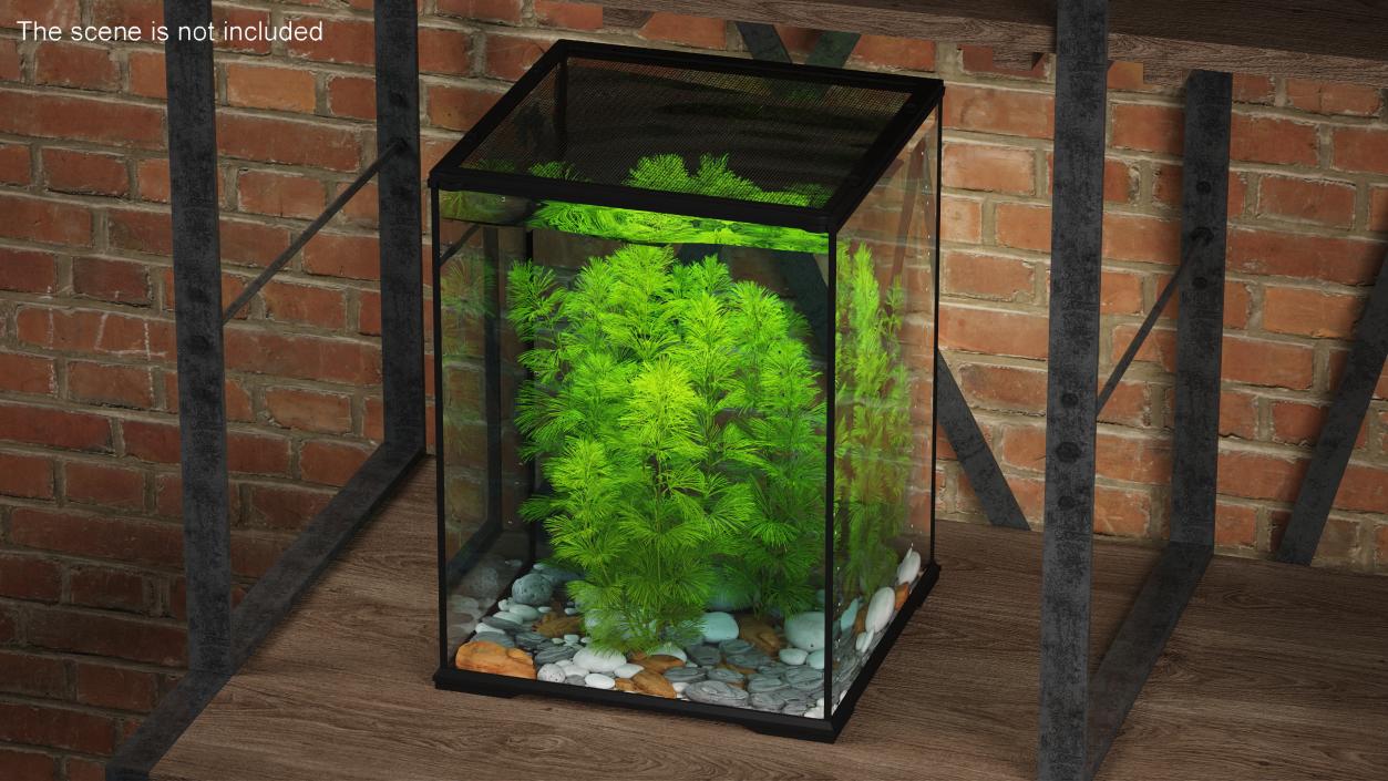 3D Aquarium Plants Collection 3 model