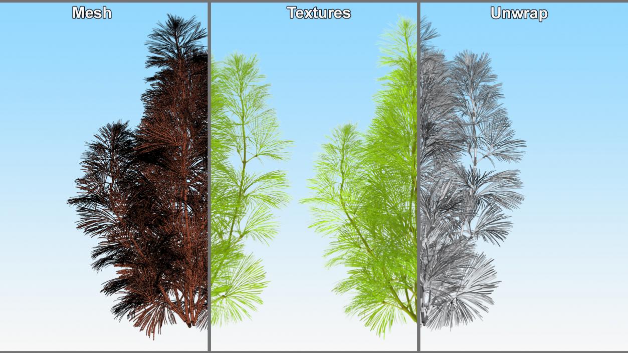 3D Aquarium Plants Collection 3 model