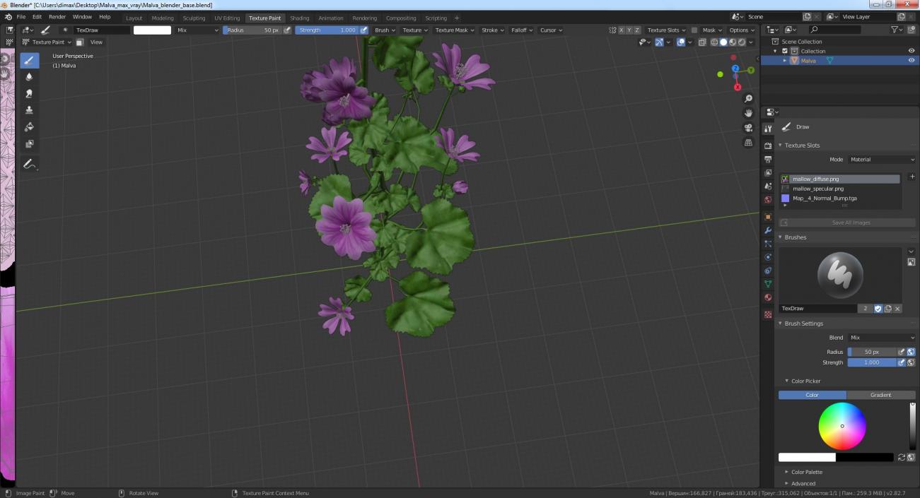 Malva 3D model