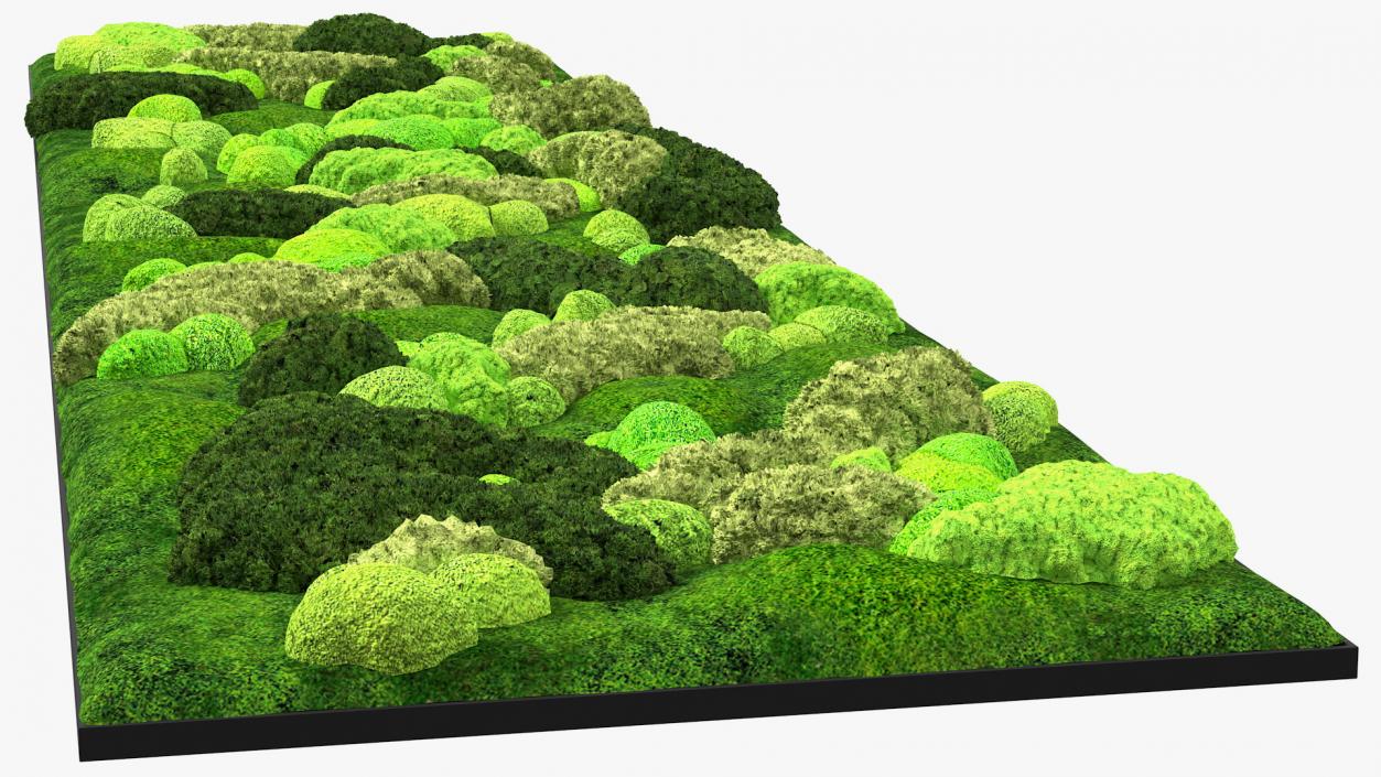 Moss Wall 3D model