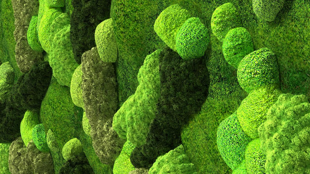 Moss Wall 3D model