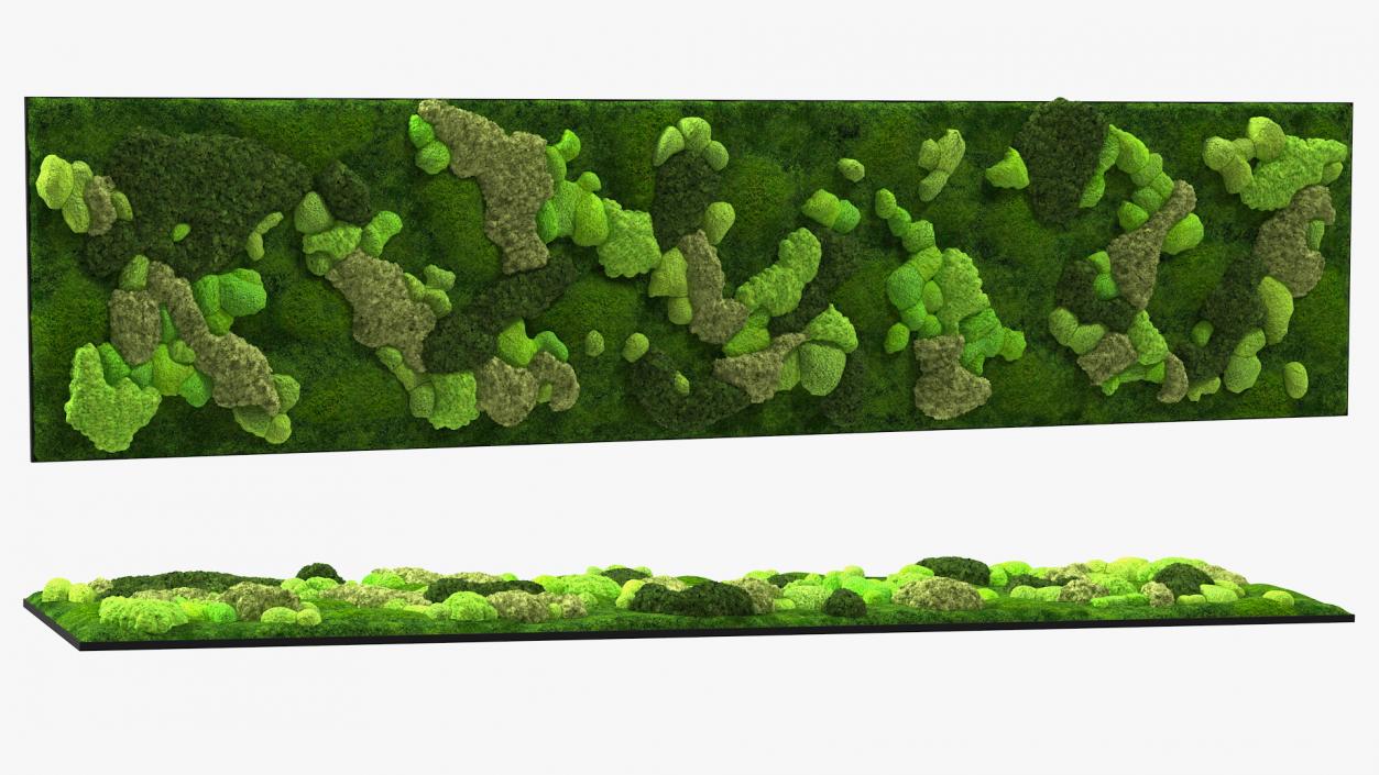 Moss Wall 3D model