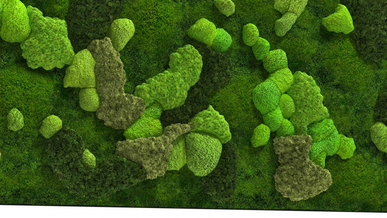 Moss Wall 3D model