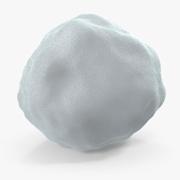 3D model Snowball 4