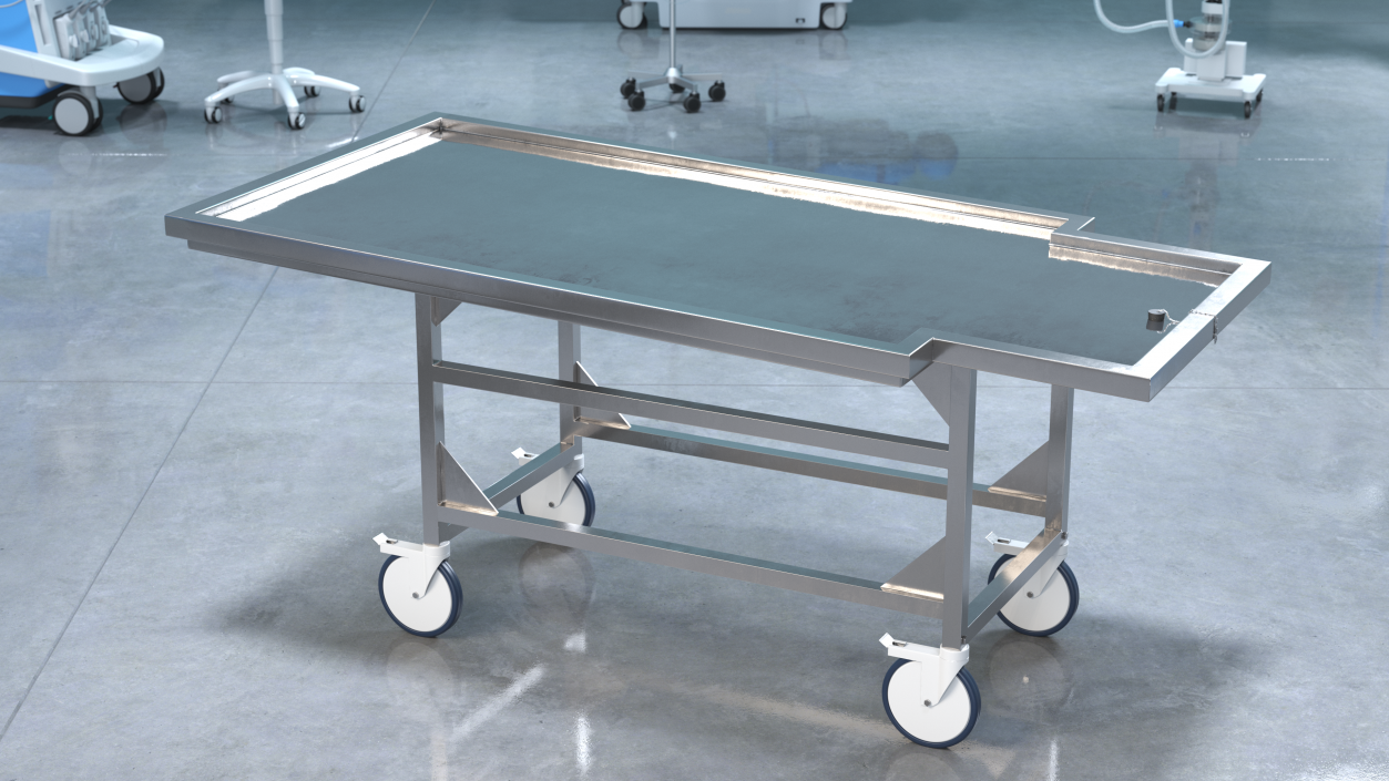 Autopsy Cart 3D