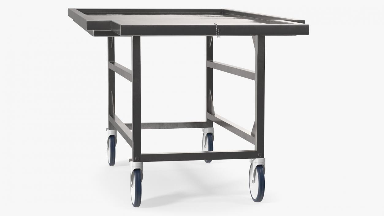 Autopsy Cart 3D