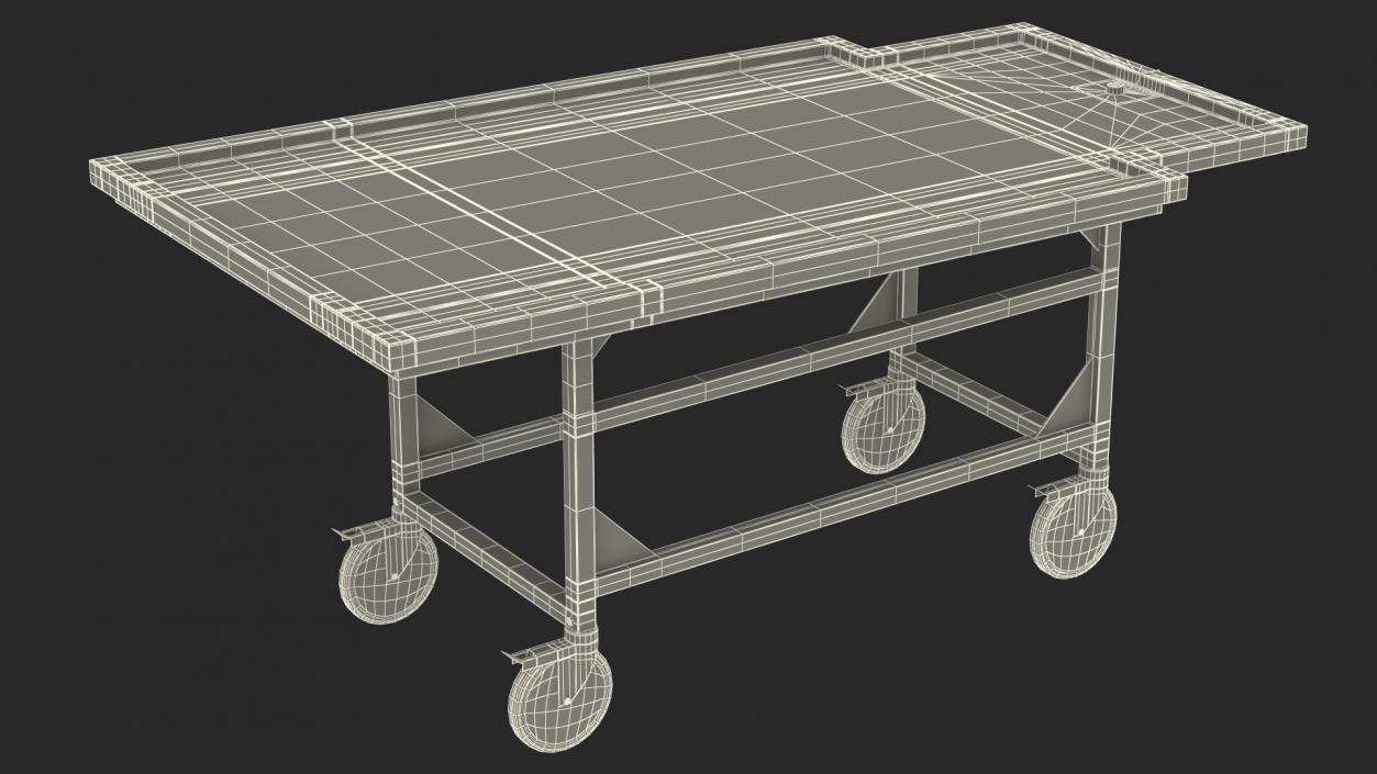 Autopsy Cart 3D