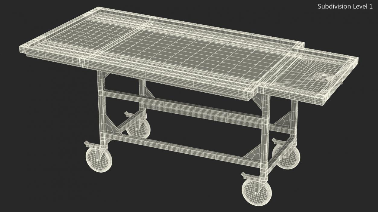 Autopsy Cart 3D