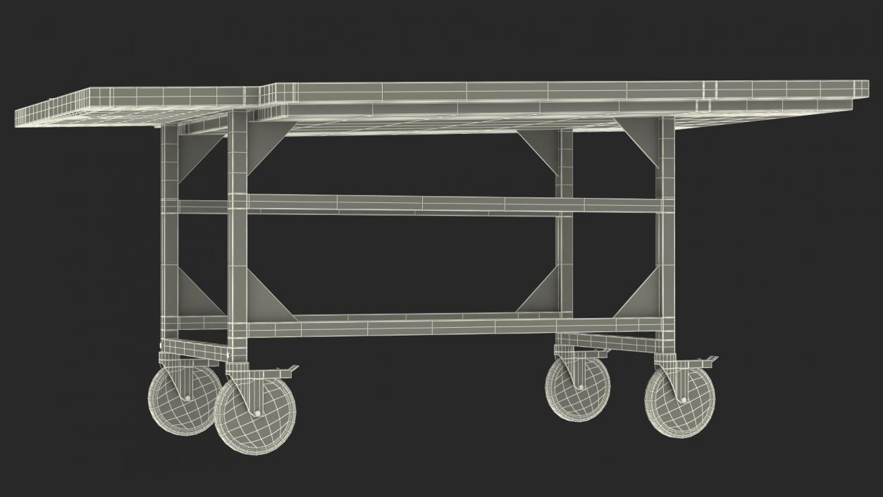 Autopsy Cart 3D