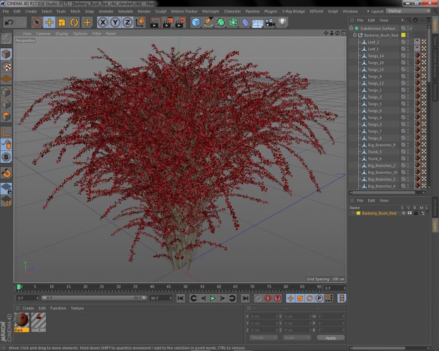 Barberry Bush Red 3D