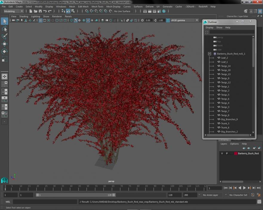 Barberry Bush Red 3D