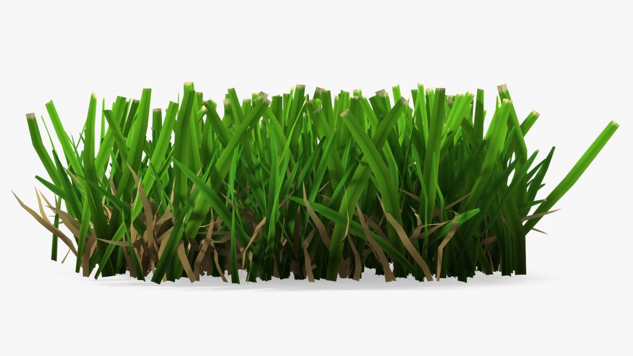 3D Grass Patch