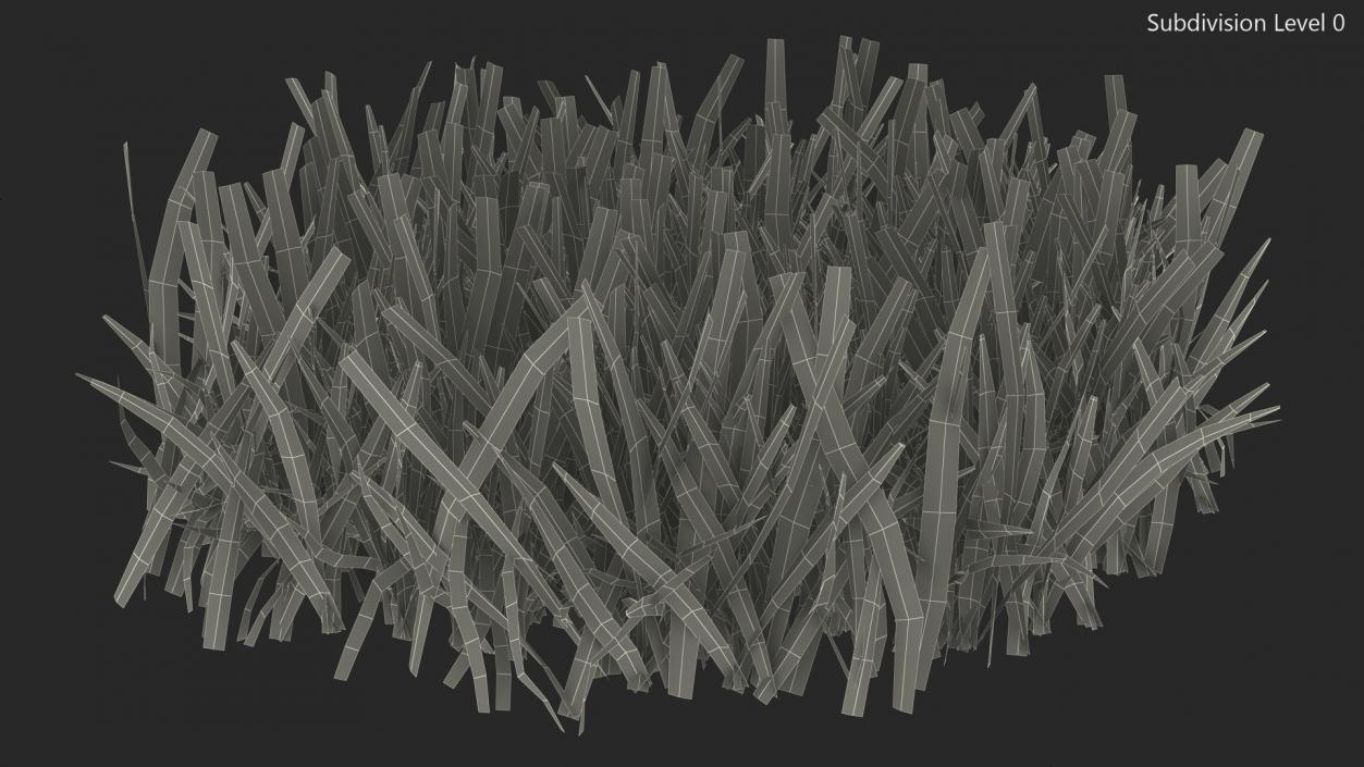 3D Grass Patch