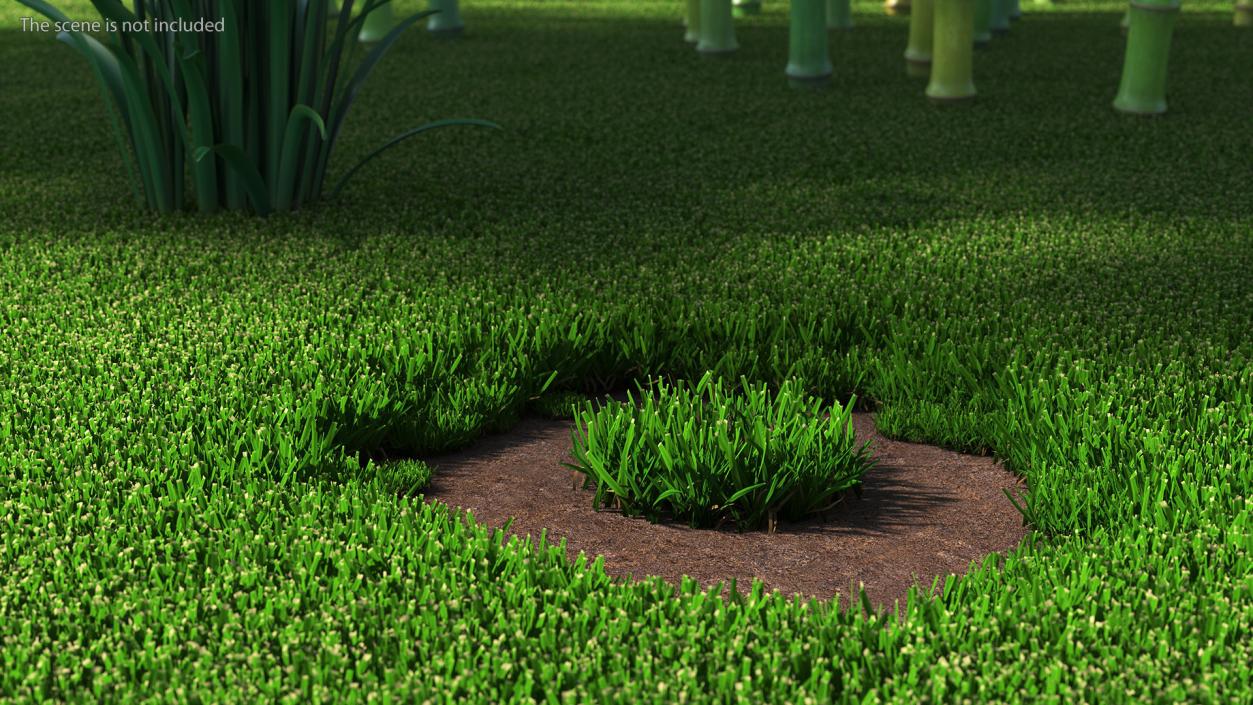 3D Grass Patch