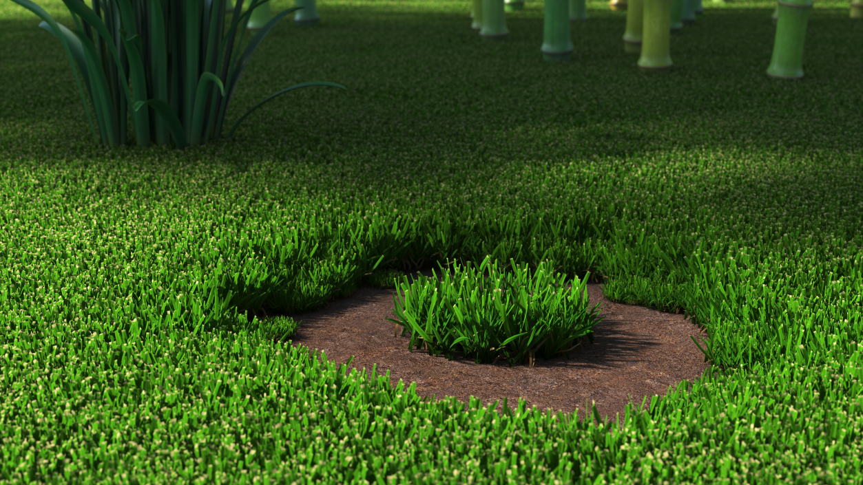 3D Grass Patch