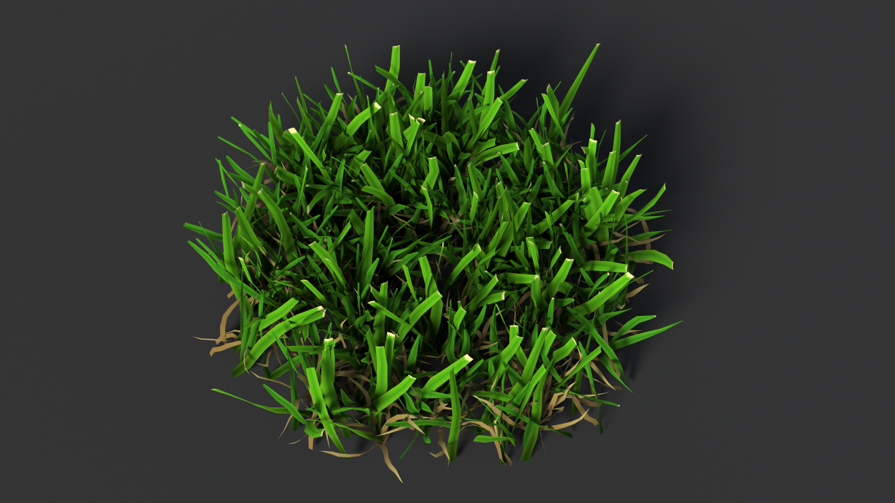 3D Grass Patch