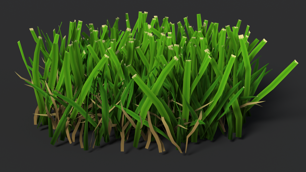 3D Grass Patch