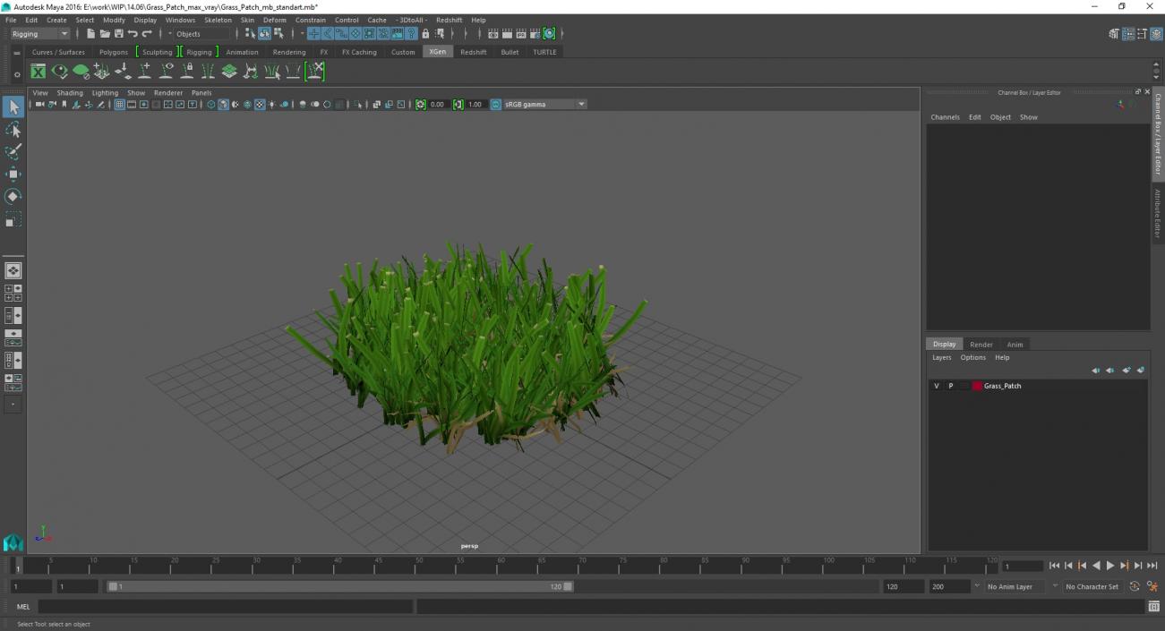 3D Grass Patch