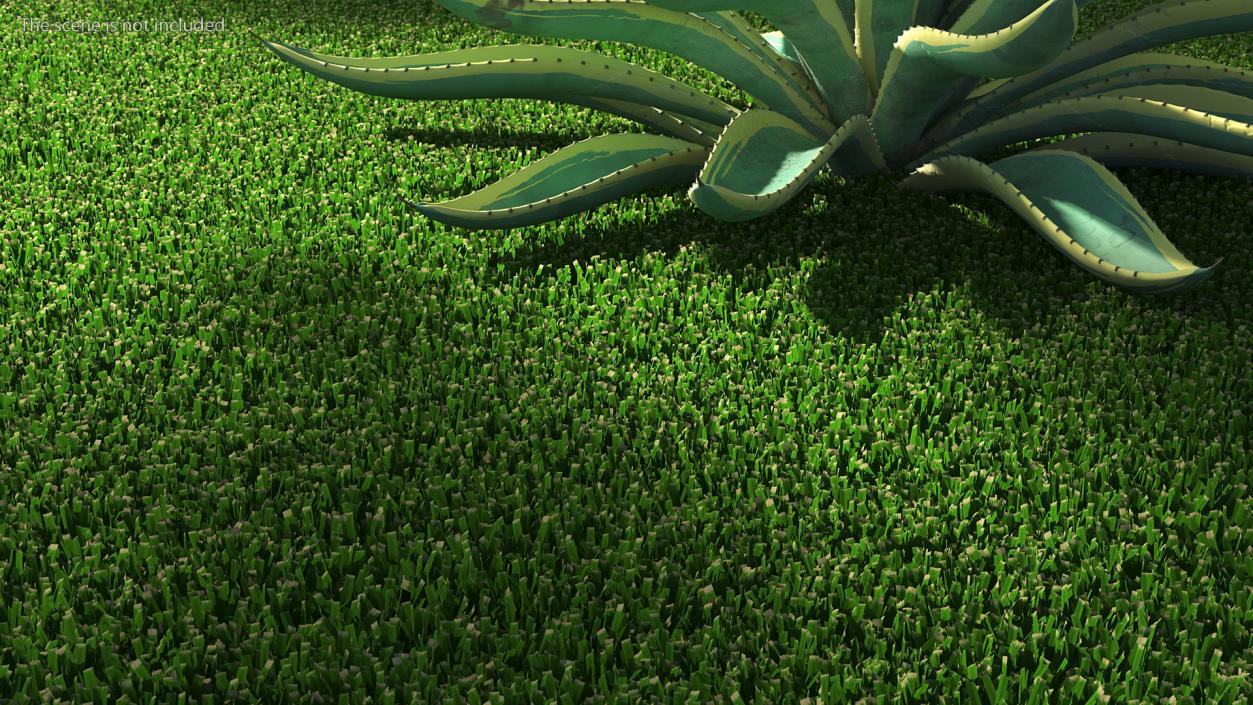 3D Grass Patch