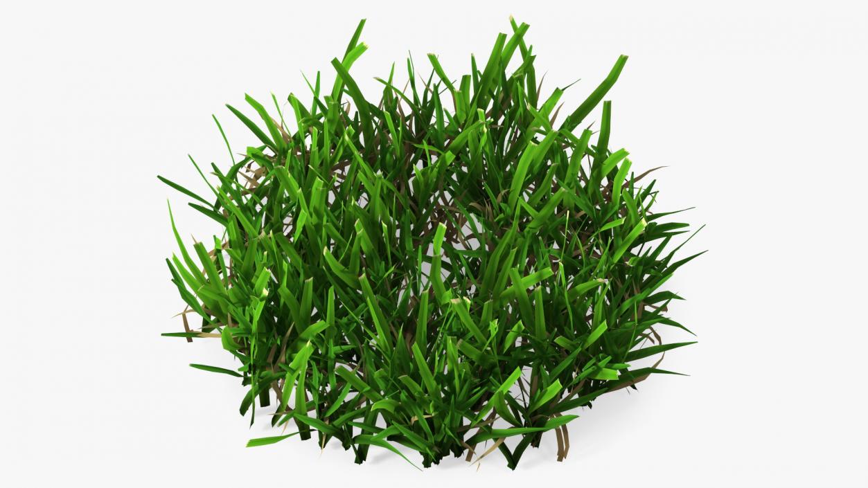 3D Grass Patch