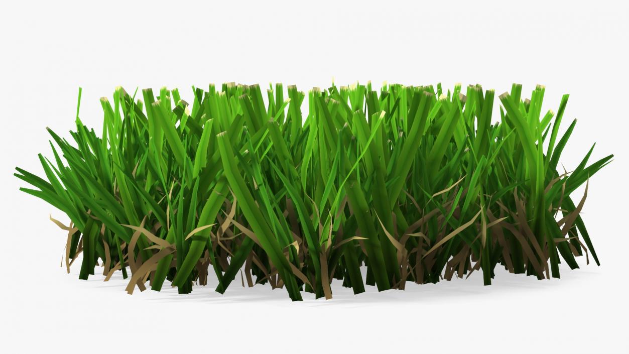 3D Grass Patch