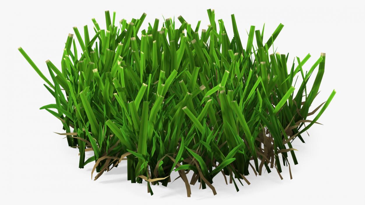 3D Grass Patch